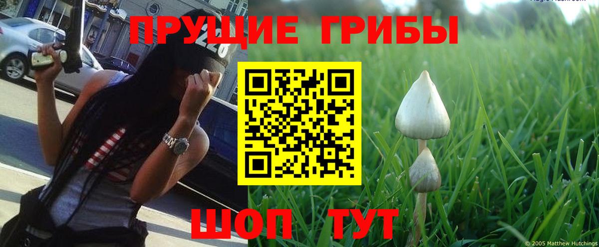 Галлюциногенные грибы мицелий Набережные Челны