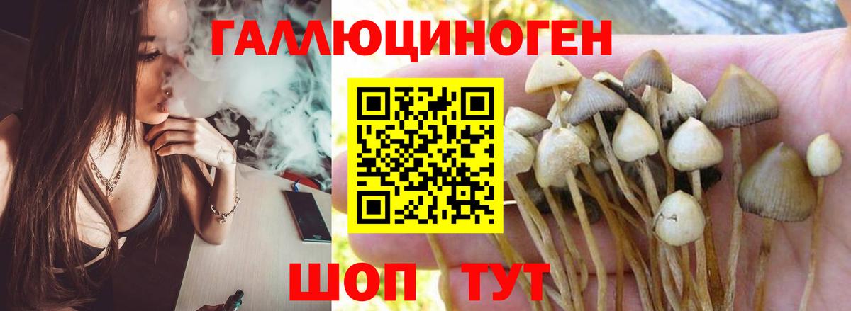 Набережные Челны  Галлюциногенные грибы GOLDEN TEACHER  Вход с VPN 